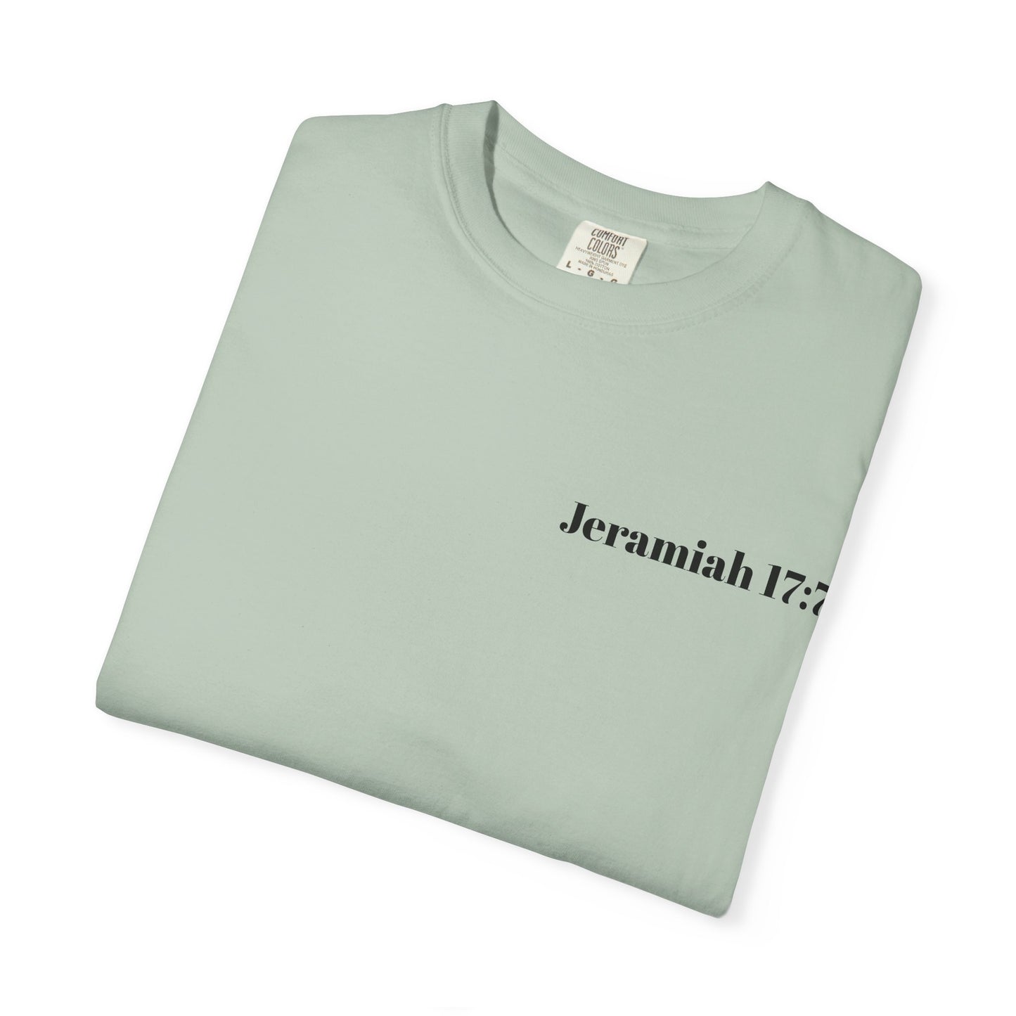 Blessed Beyond Measure T-Shirt