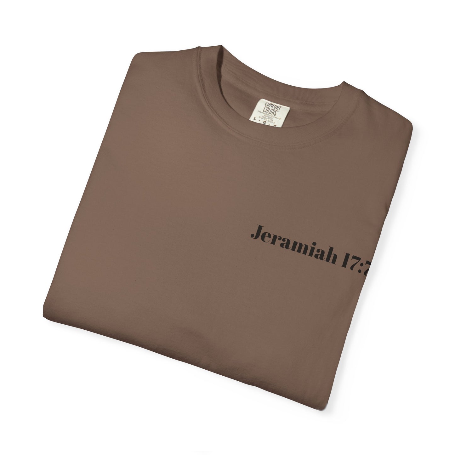 Blessed Beyond Measure T-Shirt