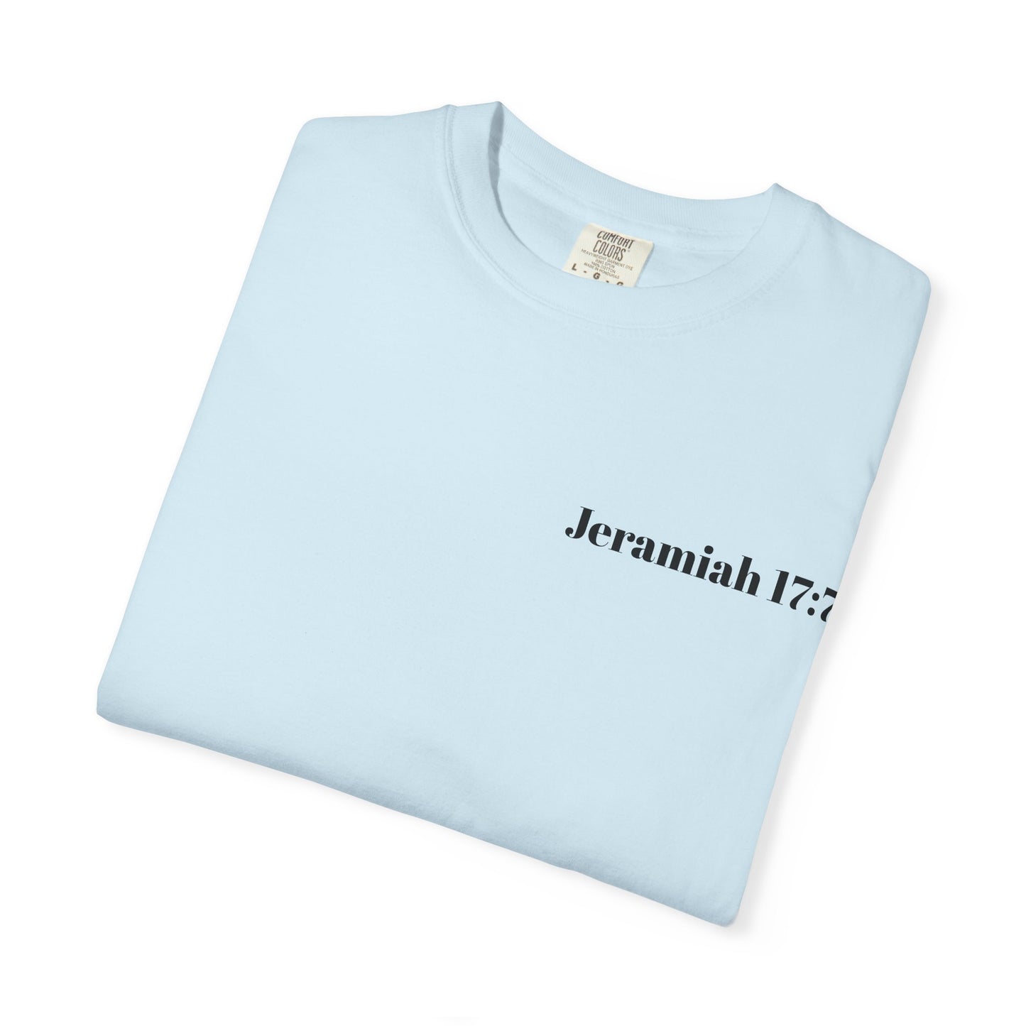 Blessed Beyond Measure T-Shirt