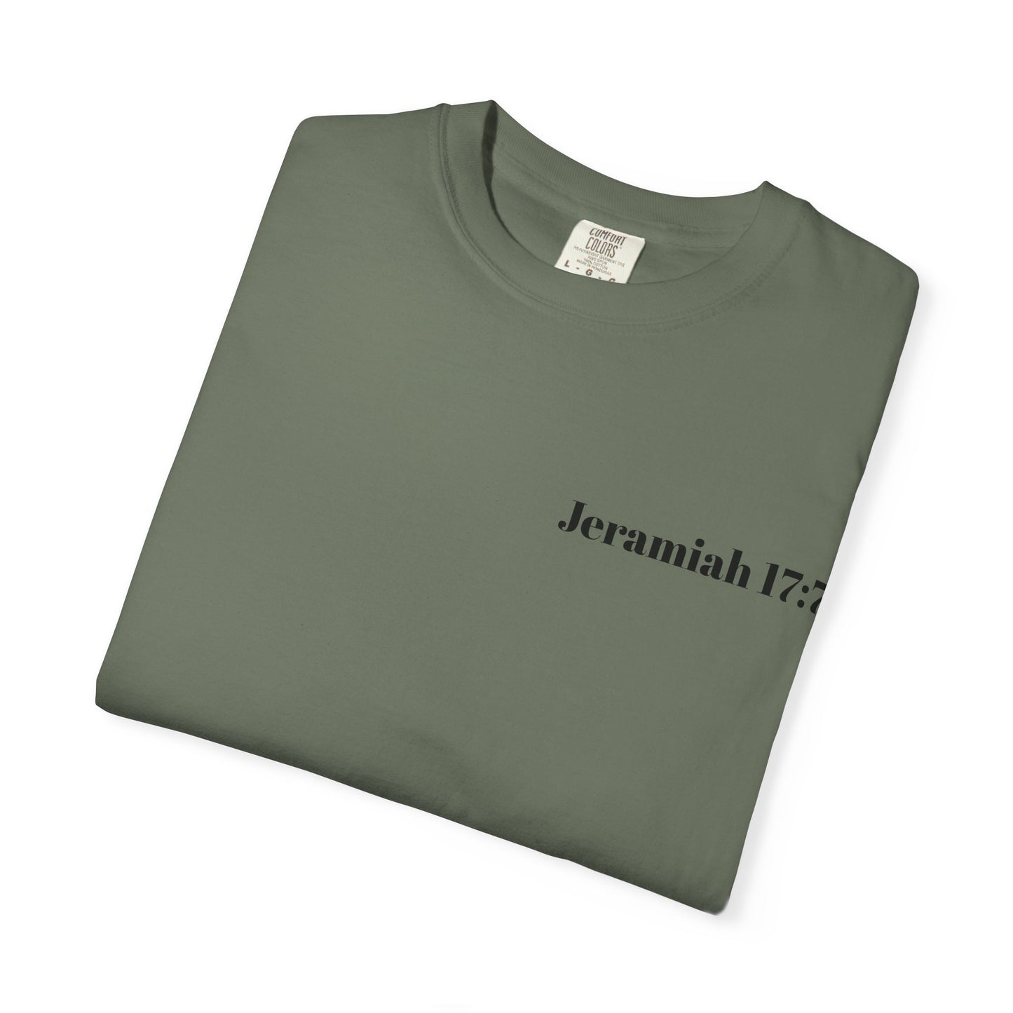 Blessed Beyond Measure T-Shirt